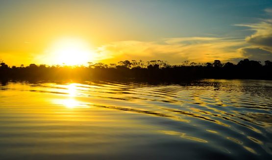 tour to contemplate the amazing sunset on amazon rainforest