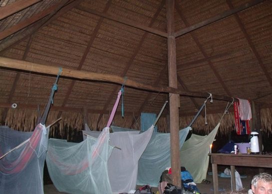 Acampamento na selva (Camping 1)