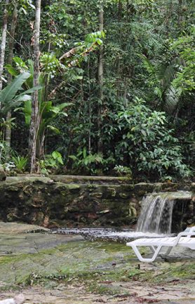 maia-expeditions--hotel-de-selva--amazon-eco-park--5