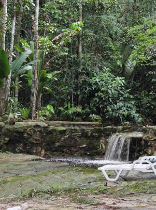 maia-expeditions--hotel-de-selva--amazon-eco-park--5